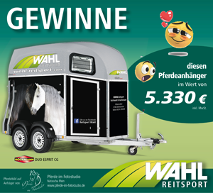 Gewinnspiel facebook vorschau